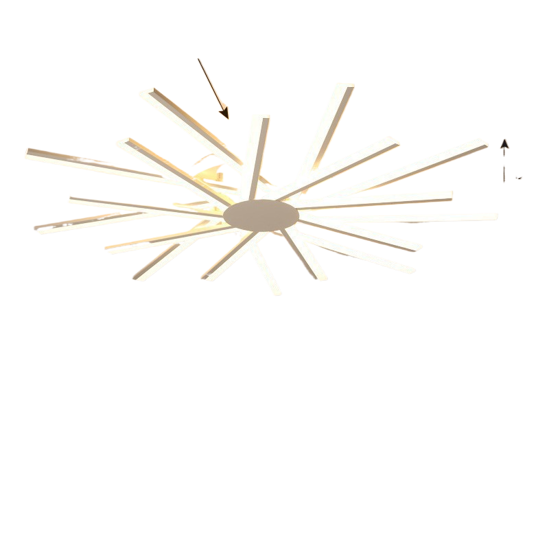 Modern Full Spectrum Ceiling Lamp