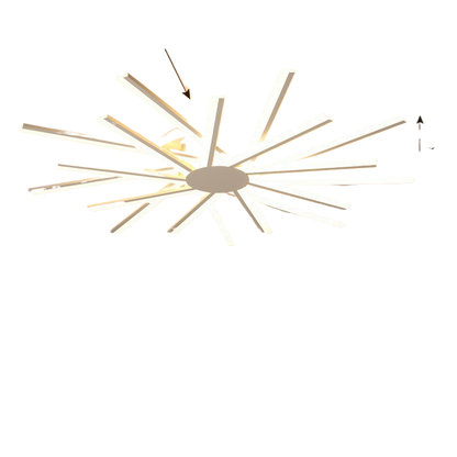 Modern Full Spectrum Ceiling Lamp