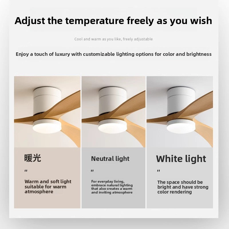 Modern Smart Ceiling Fan with Light