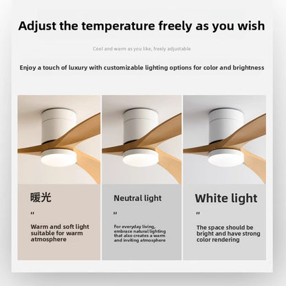 Modern Smart Ceiling Fan with Light