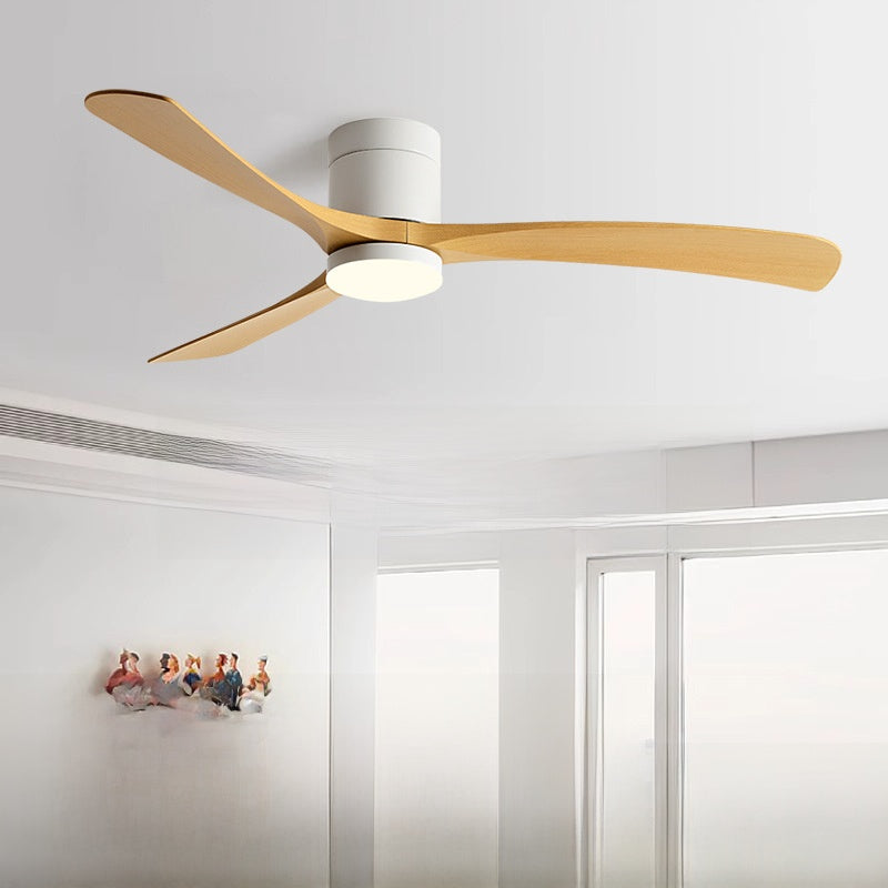 Modern Smart Ceiling Fan with Light