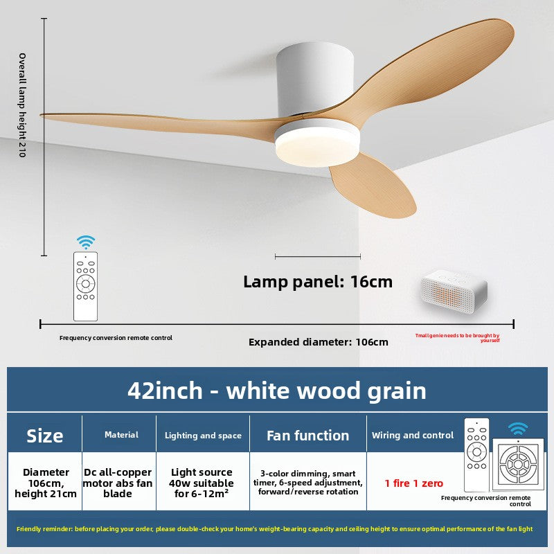 Minimalist Style Smart Ceiling Fan