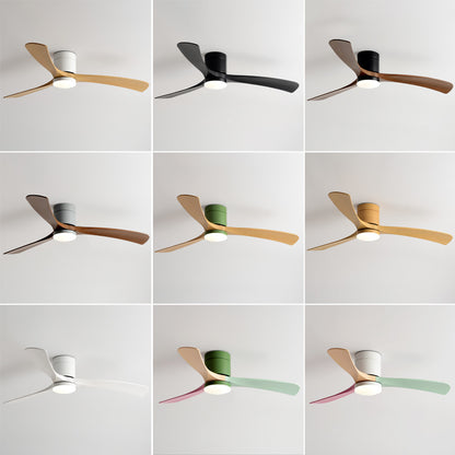 Modern Smart Ceiling Fan with Light