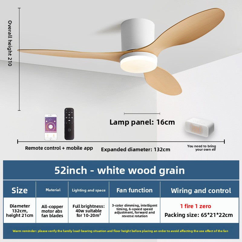 Minimalist Style Smart Ceiling Fan