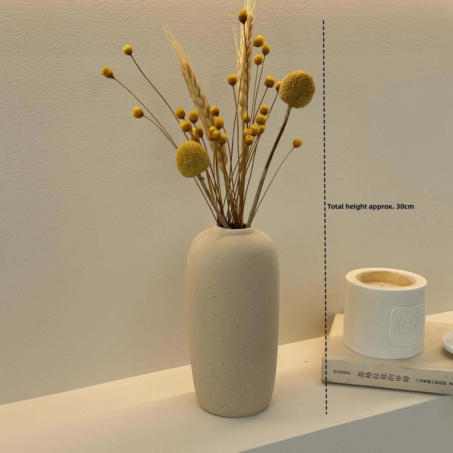 Ceramic Vase For Home Decor