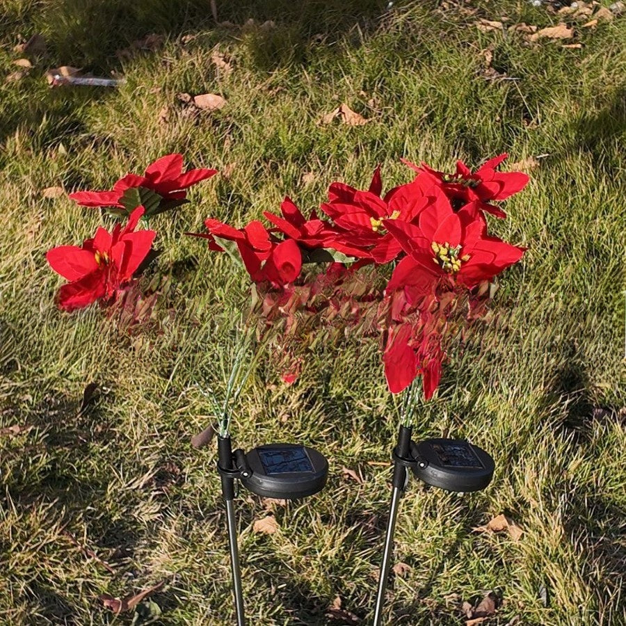 Solar Poinsettia Garden Lights Outdoor