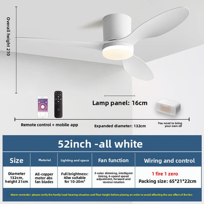 Minimalist Style Smart Ceiling Fan