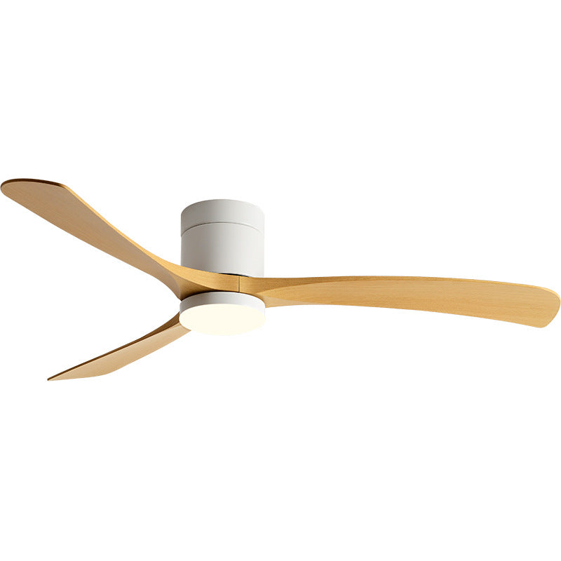 Modern Smart Ceiling Fan with Light