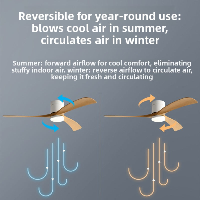 Modern Smart Ceiling Fan with Light