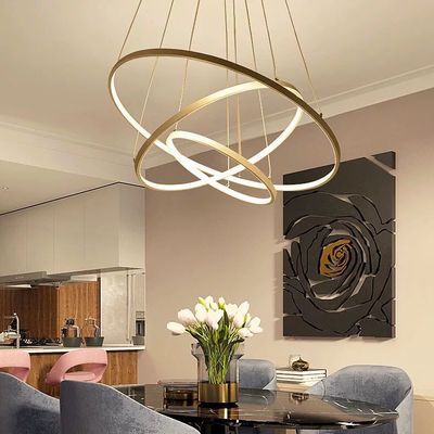 Spiral LED Ceiling Light