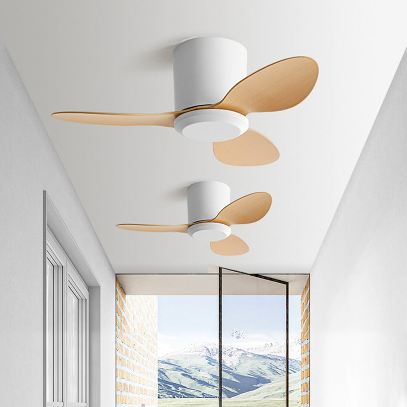 Minimalist Style Smart Ceiling Fan