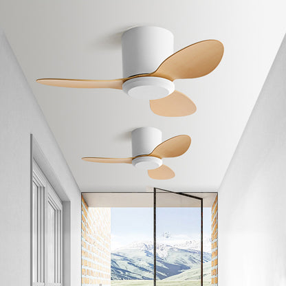 Minimalist Style Smart Ceiling Fan