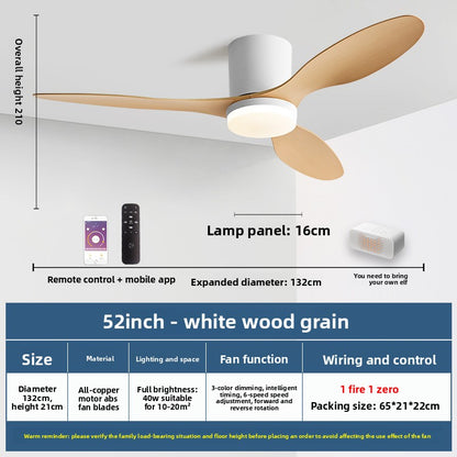 Minimalist Style Smart Ceiling Fan