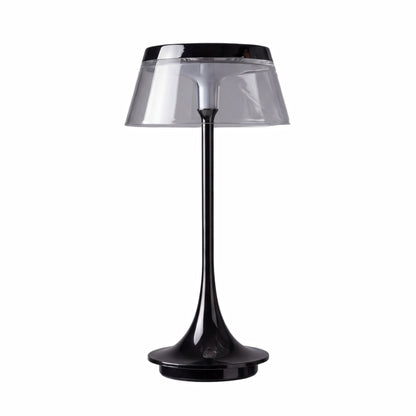 Touch Control Clear Desk Lamp