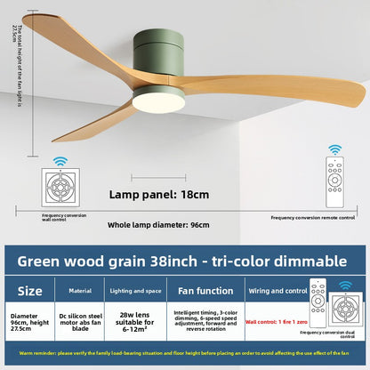 Modern Smart Ceiling Fan with Light