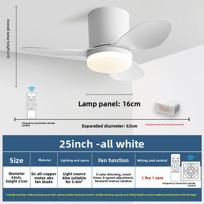 Minimalist Style Smart Ceiling Fan