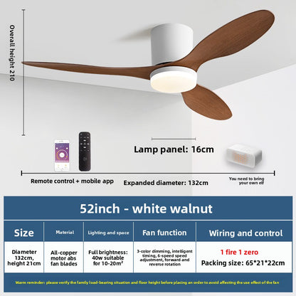 Minimalist Style Smart Ceiling Fan